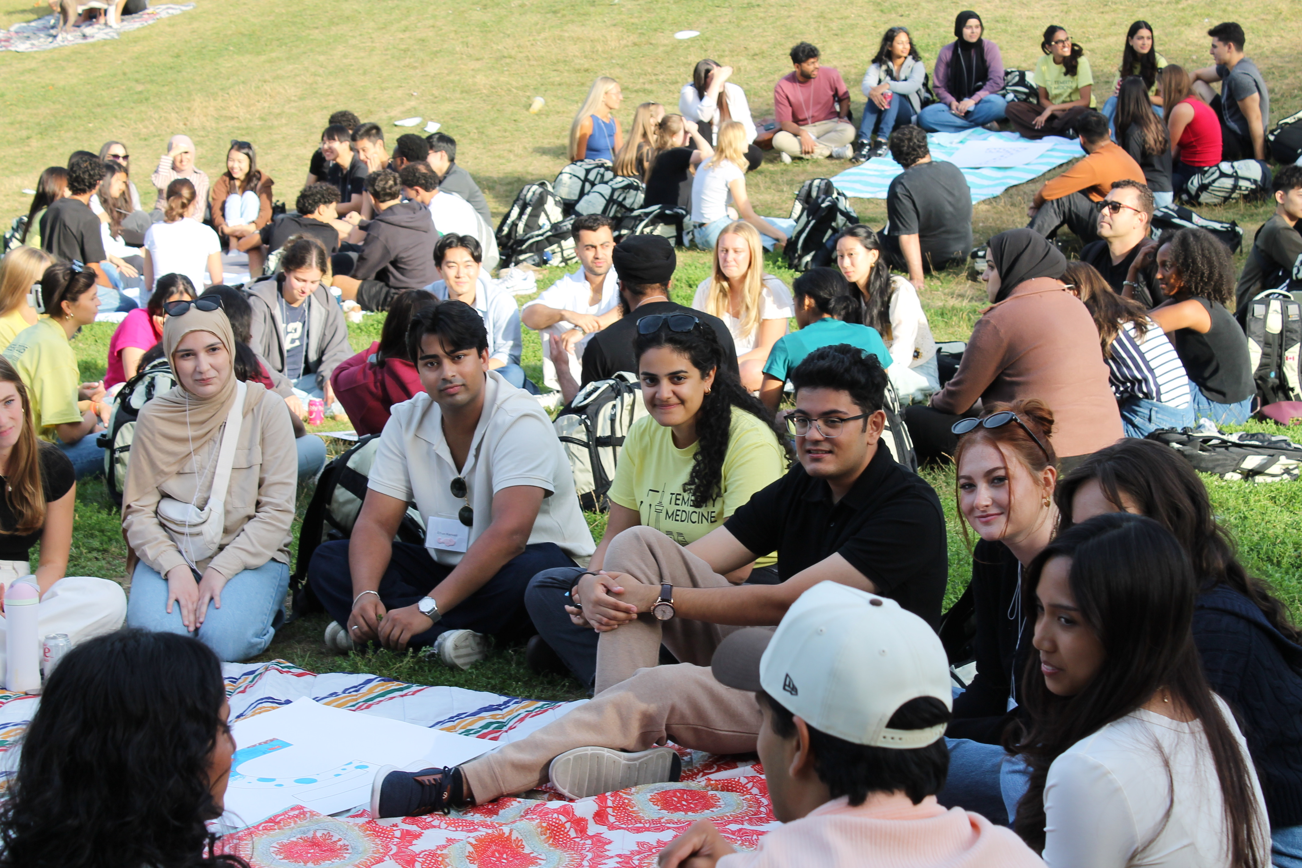 Christie Pits picnic