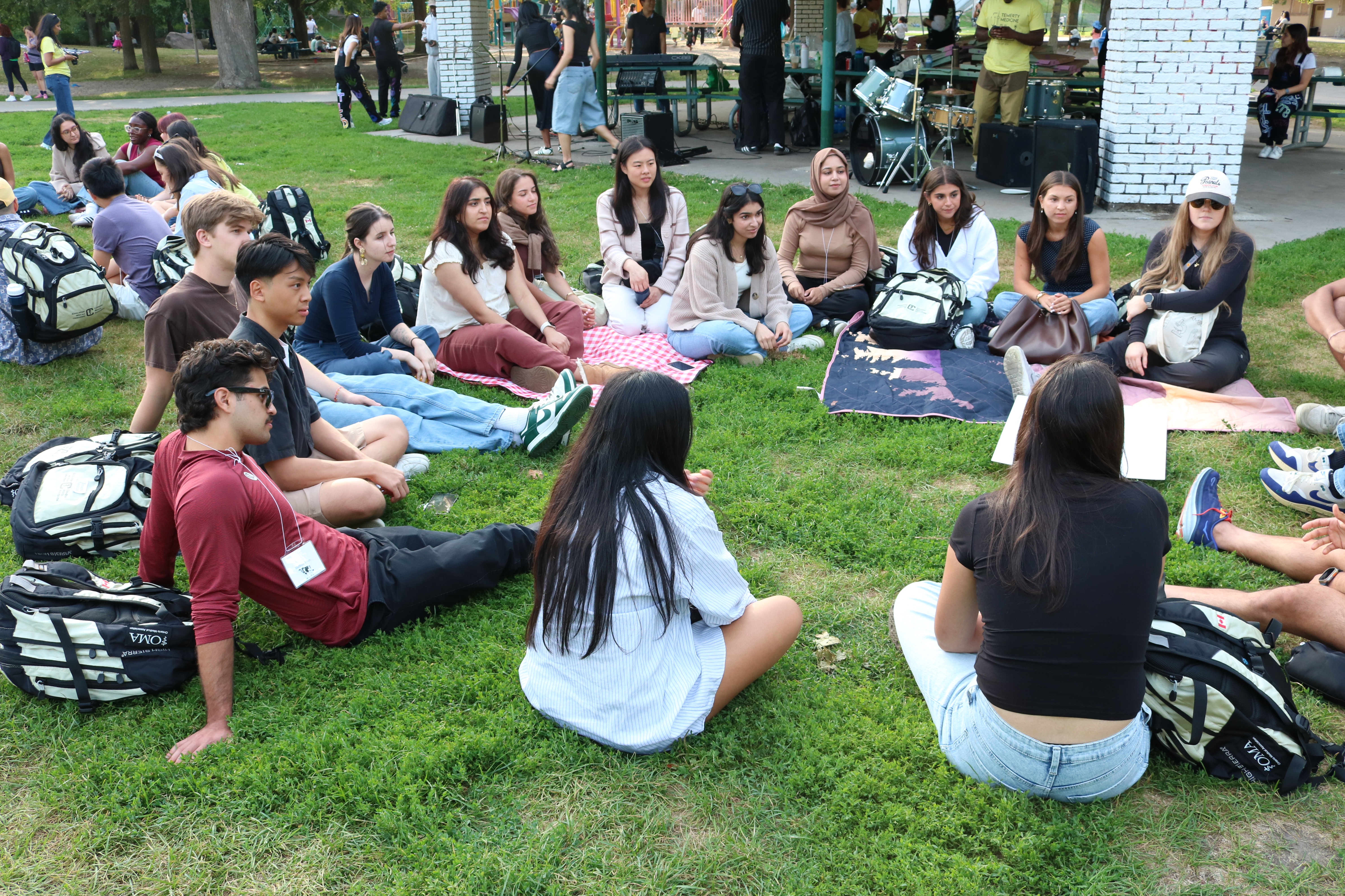 Christie Pits picnic